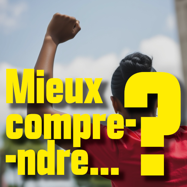 Mieux comprendre: Martinique: vie chère, accaparement des richesses et système colonial