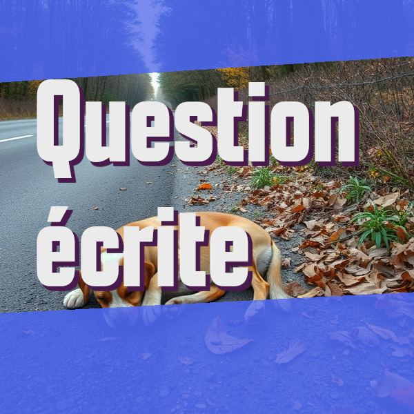 Question écrite: Abandon d&rsquo;animaux