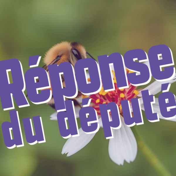 Réponse du député: refuser la réintroduction des néonicotinoïdes