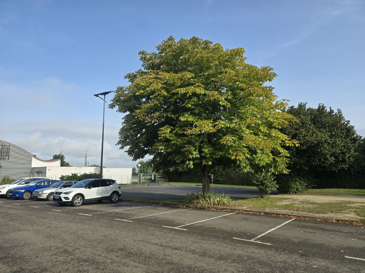 Projet photovoltaïque et abattage d&rsquo;arbres à Soyaux
