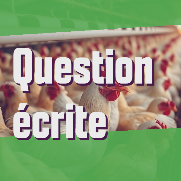 Question écrite:  La fin de l&rsquo;élevage en cage en Europe