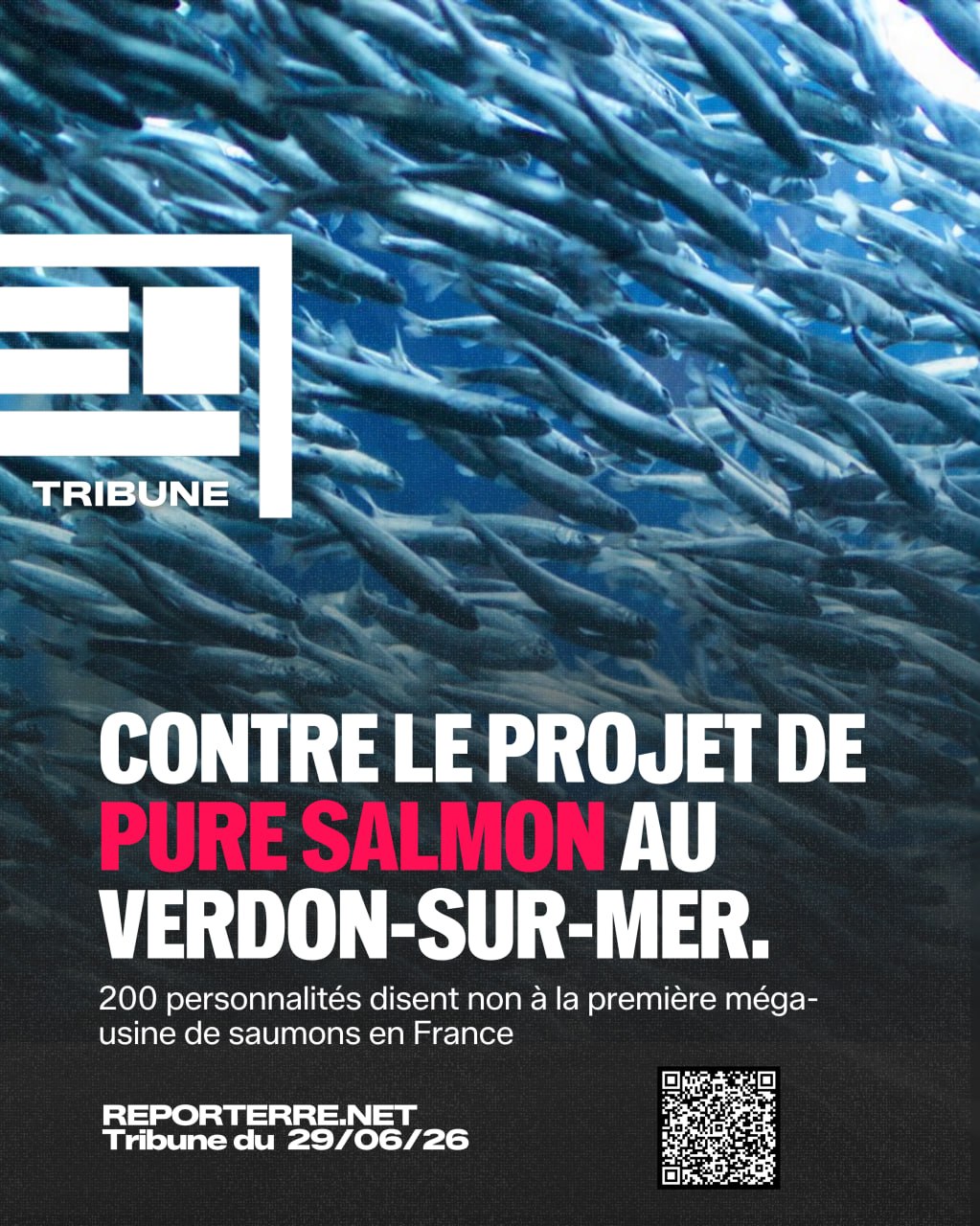 Signataire de la tribune contre le projet de méga-usine de saumons Pure Salmon.