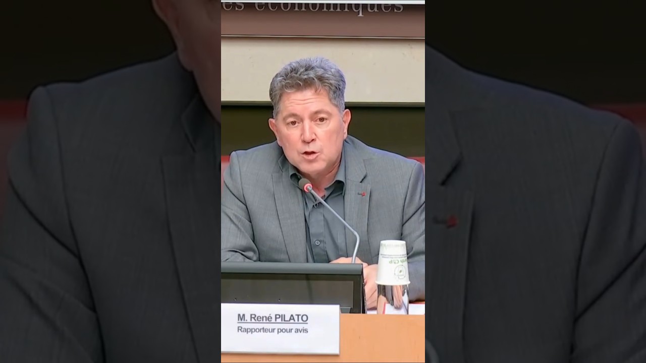 IA et artistes auteurs : les recommandations de la commission des affaires économiques.